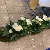 東横イン京都五条烏丸（京都府 ビジネスホテル） / 2