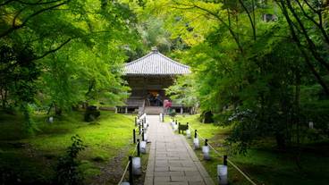 円通院 三慧殿 / 5