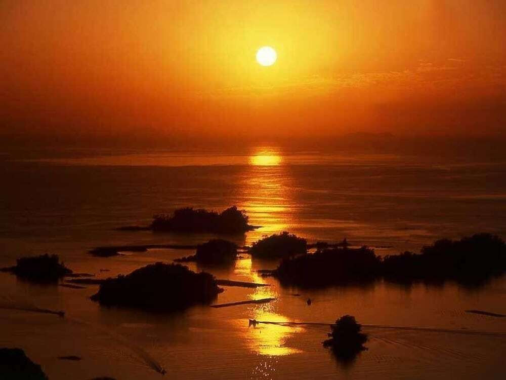 施設からの眺望