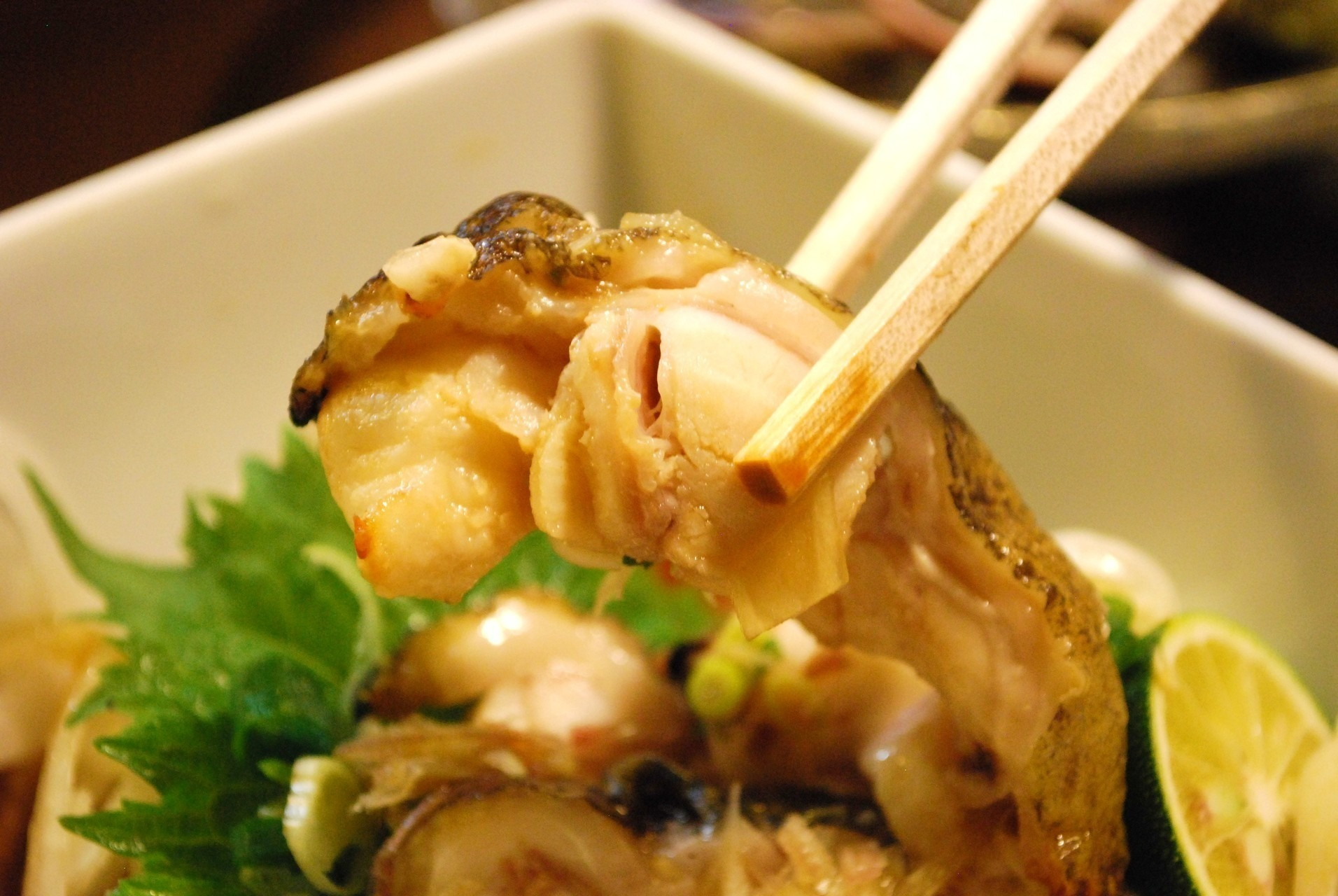 かつおだけじゃない！高知名物「うつぼのたたき」のおすすめ店10選 | icotto（イコット）