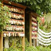 箱根湯本温泉 天成園(神奈川県 旅館) / 5