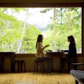 匠の宿 深山桜庵（岐阜県 旅館） / 2