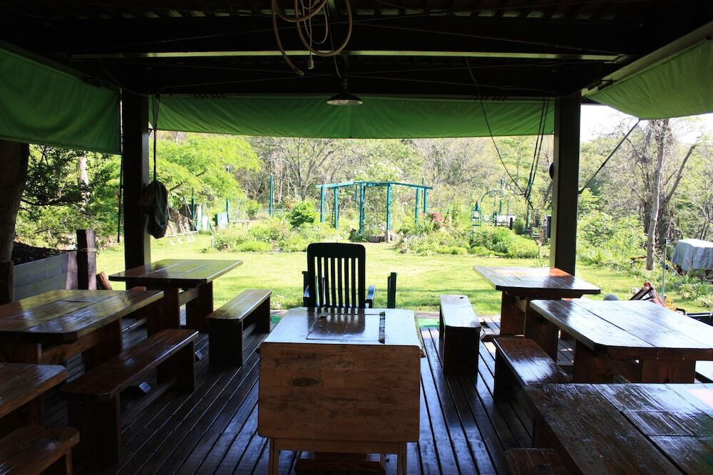 テラス / パティオ