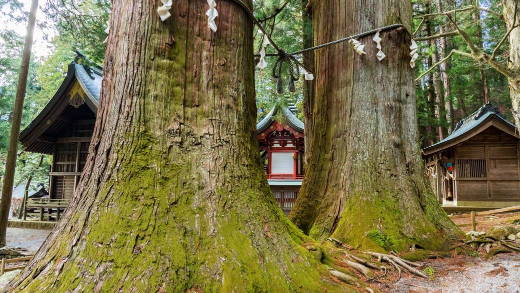 縁結びのご利益が♡ / 4