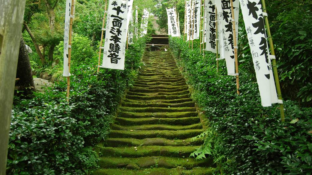 寺院や公園を巡って
絶景ハンティング！
 / 1