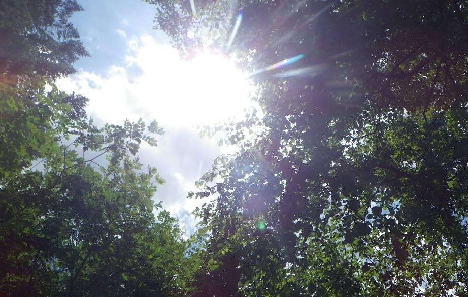 ホテル周辺の風景② / 2