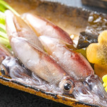 富山で名物ホタルイカが食べられる旅館11選|料理自慢の宿ならここ!