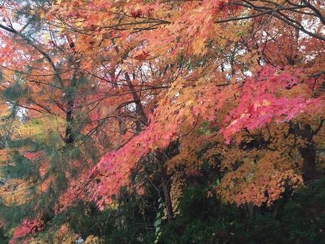 旅館 励明園 / 5