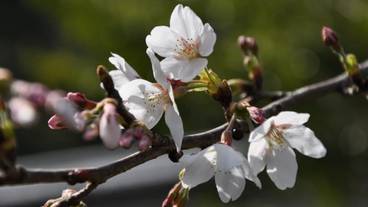 施設からの眺望 / 37