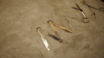 施設の敷地 / 14