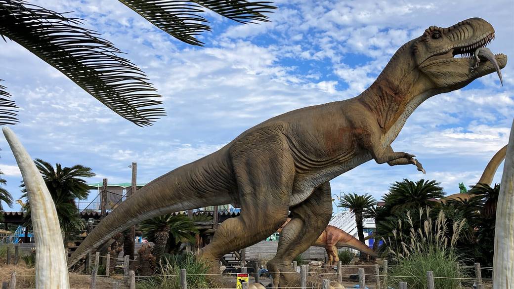 レジャー公園で
家族で大はしゃぎ♩ / 1