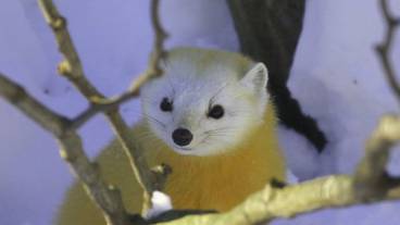 施設の敷地 / 19