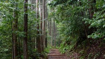 ランド ビュー / 17