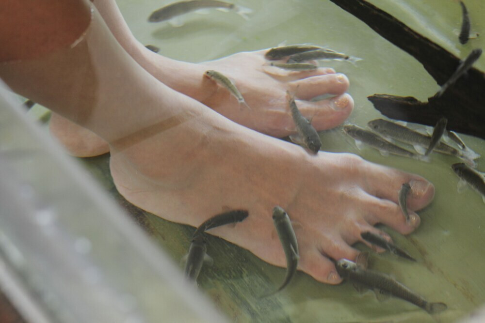 旅館のロビーは家族みんなが楽しめる空間☆4278689