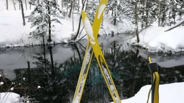 施設の敷地 / 13