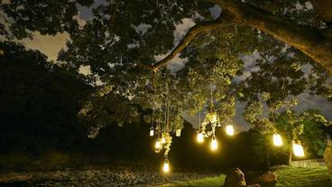 施設の正面 (日没後) / 1