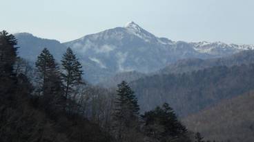 マウンテン ビュー / 19