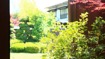 ガーデン ビュー / 12