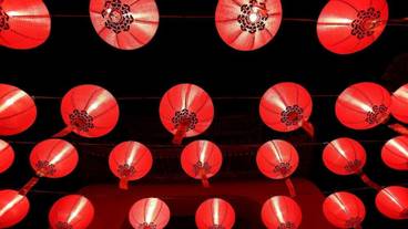 内装の詳細 / 28