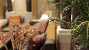 内装の詳細 / 32