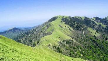 観光スポット / 28