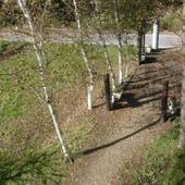 八ヶ岳高原 ペンション あさひ（山梨県 ペンション） / 3