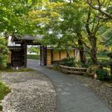 人力車でお宿へ。
京の雅を体感して / 1