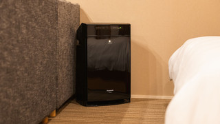 スタンダードA 禁煙