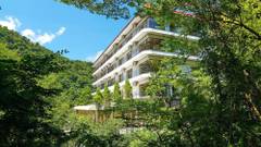 箱根湯本温泉 箱根湯本ホテル