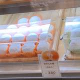 豊岡わこう堂 城崎店（トヨオカワコウドウ）