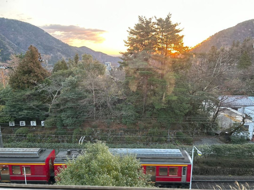 ___0531_mさんの写真 / 2