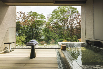 For special trips, we recommend luxury hotels and ryokan that offer a feeling of reward3569157