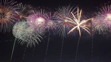 ランド ビュー / 33