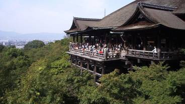 観光スポット / 7