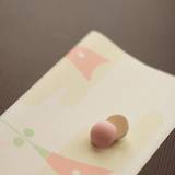 旧三井家下鴨別邸（キュウミツイケシモガモベッテイ）