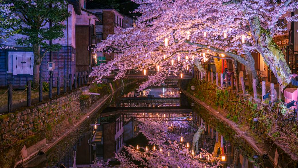 木屋町通り周辺（春） / 4