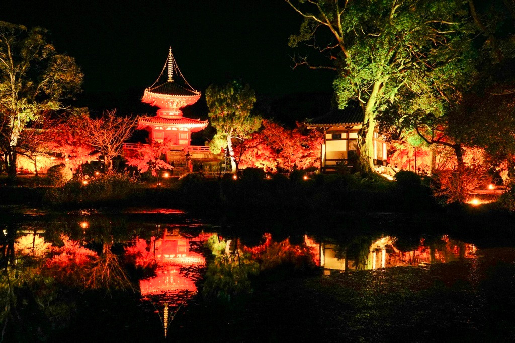 4.大覚寺1962149