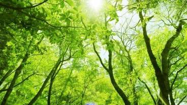 施設の敷地 / 20