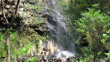 ランド ビュー / 9