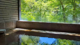 芦ノ湖を一望する湖畔 プライベート温泉ルーム 禁煙