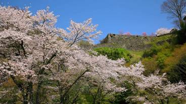 シティ ビュー / 9