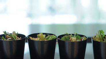 レストラン / 10