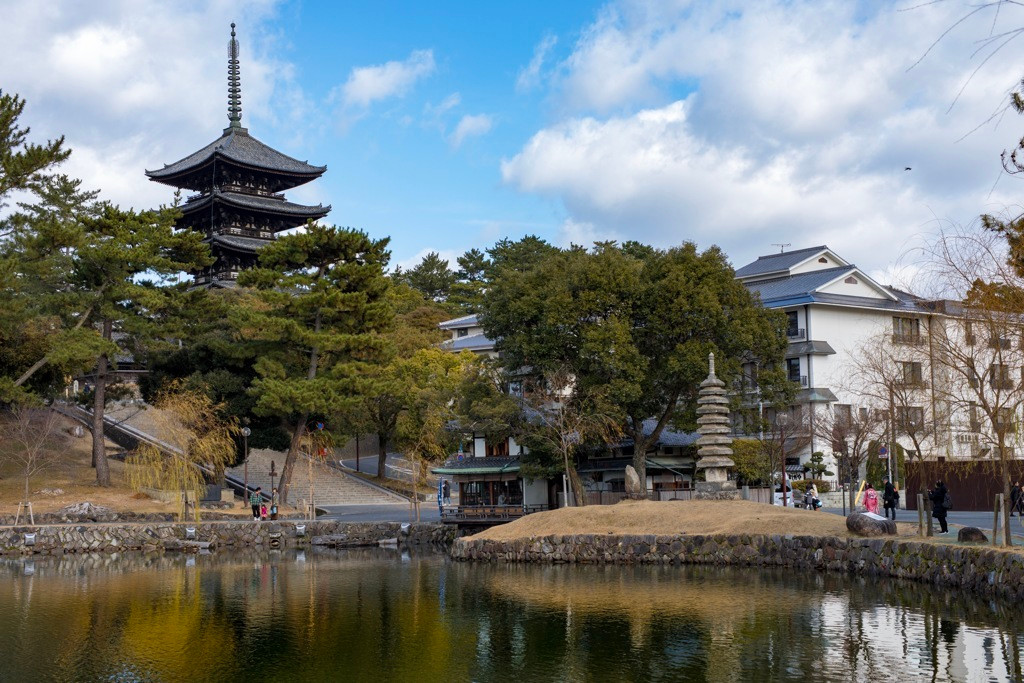 世界遺産　興福寺ライトアップ　猿沢池　