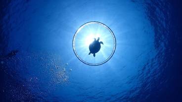 子供向けアクティビティ / 5