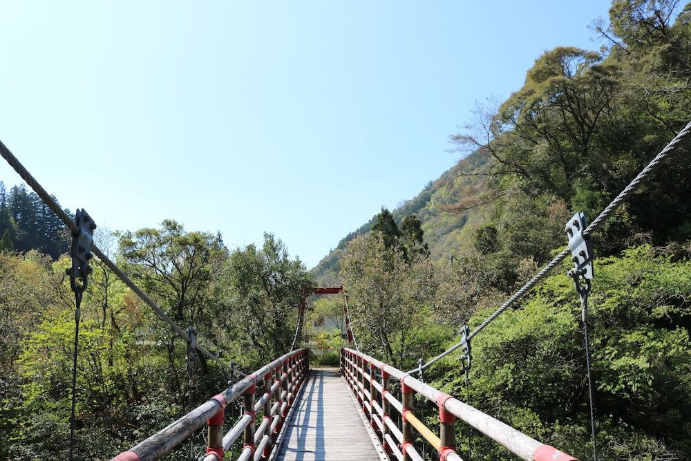 無料のレンタサイクルで風を切って走る3929762