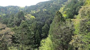 マウンテン ビュー / 3