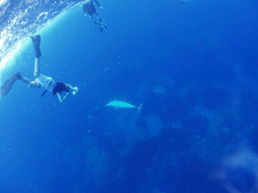 フィットネス設備