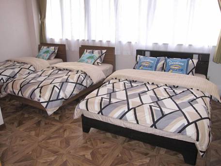 ハイビス ヤブ / 4