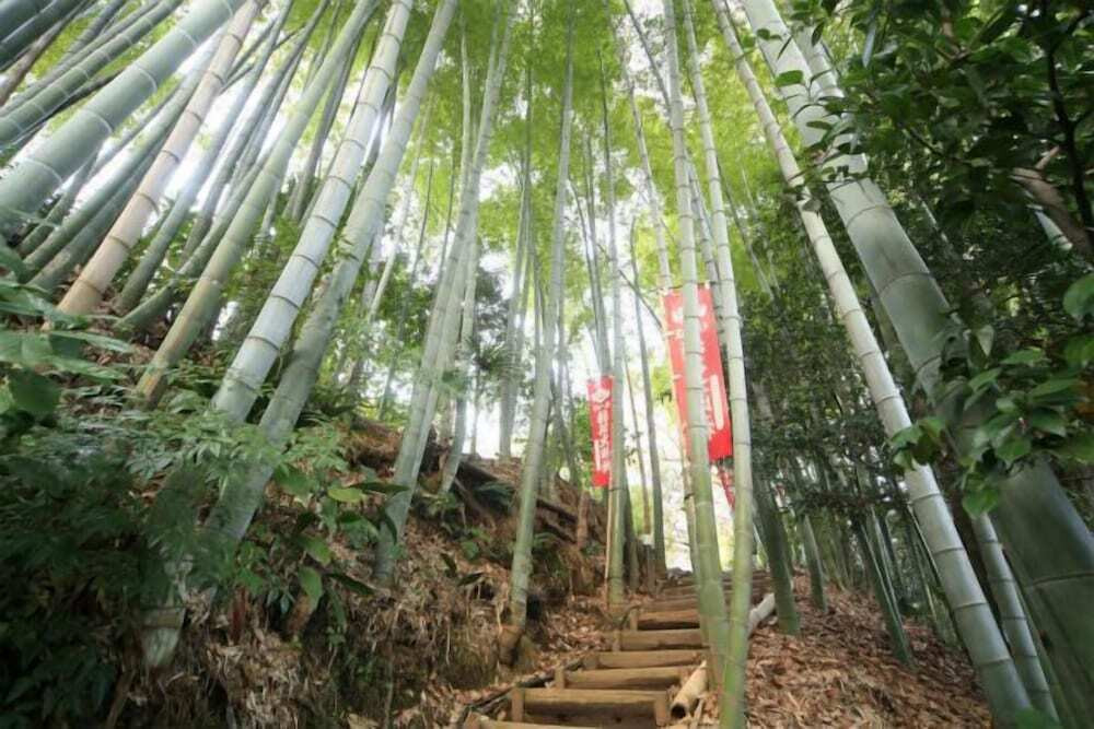施設の敷地