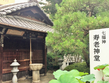 革堂行願寺2820419